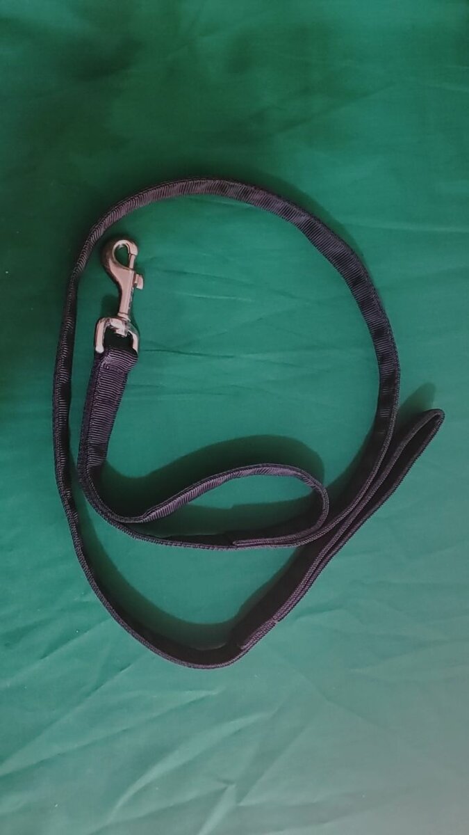 Laisse pour chien en nylon robuste