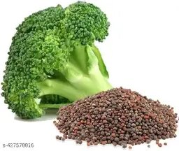 BROCOLI  SEEDS