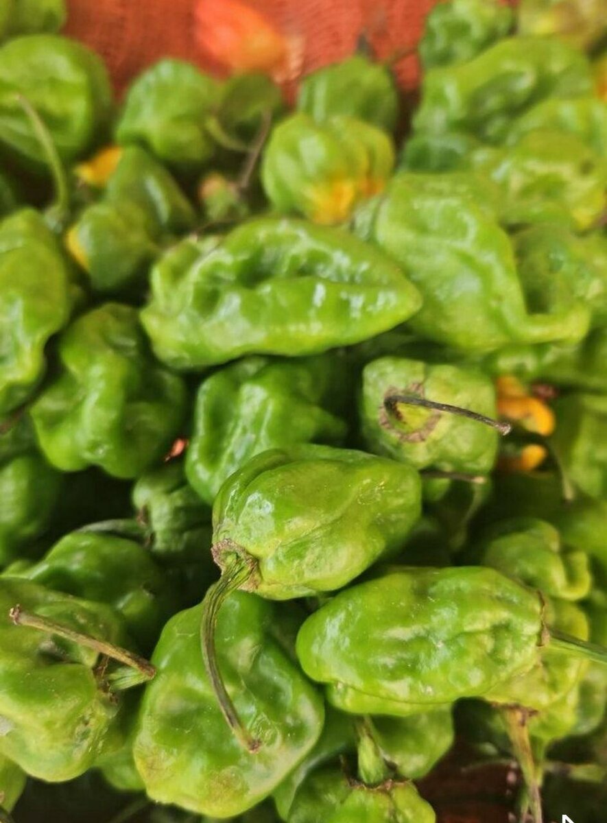 Le kilo de piments colorés