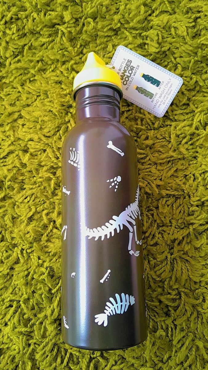 Gourde Enfant Dinosaure