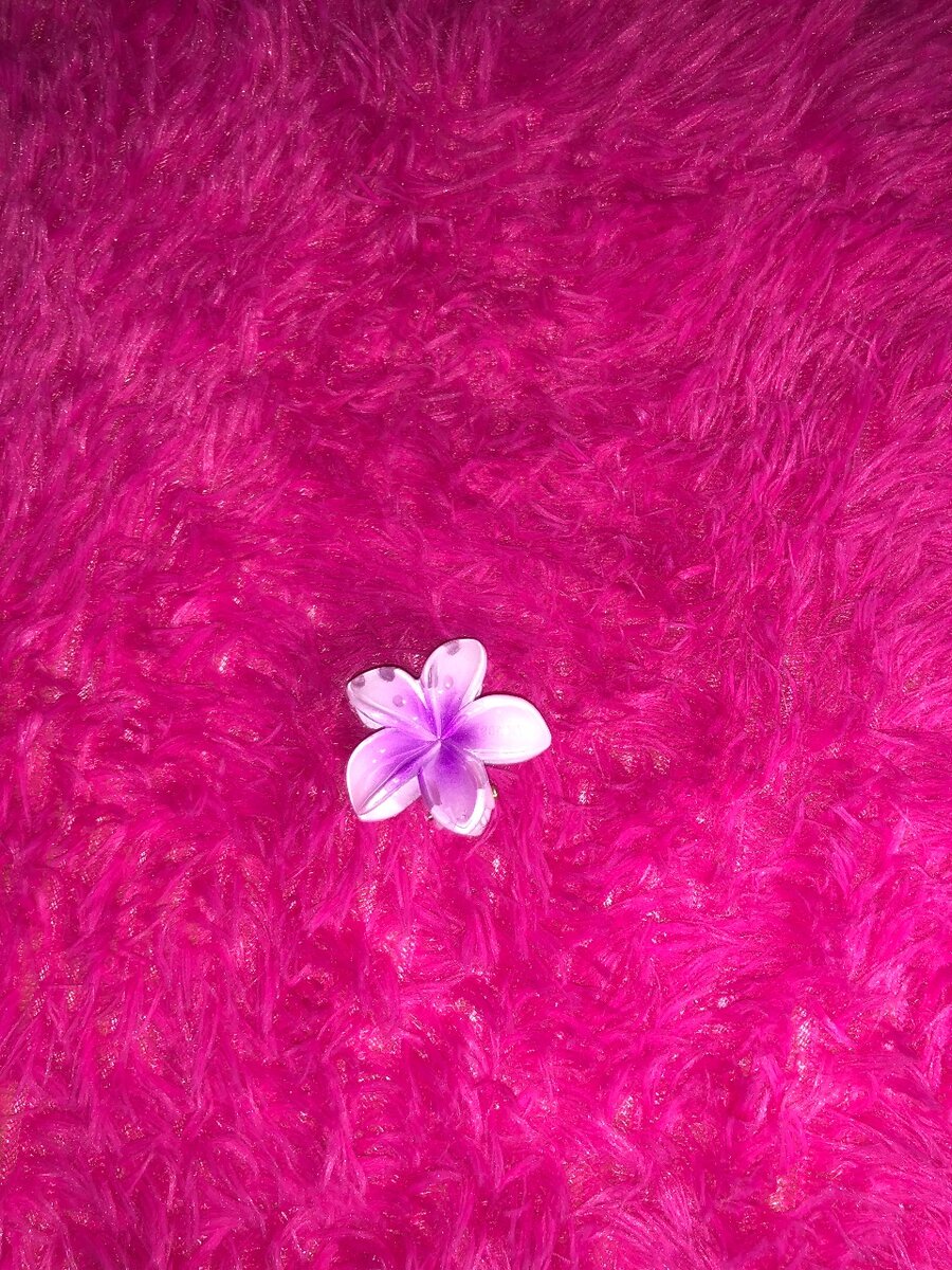 Barrettes fleurs colorées