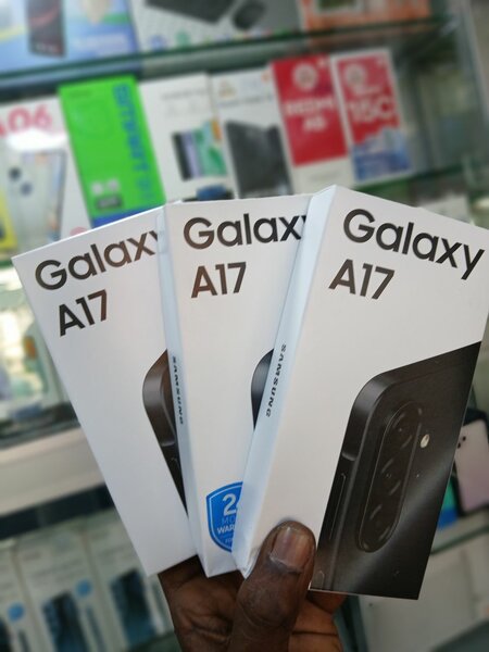 Samsung Galaxy A17 256 Go