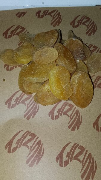 Sun dried soft apricots