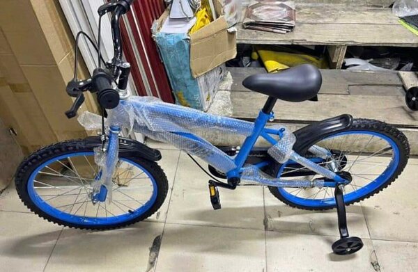 Vélo Enfant Bleu 20 Pouces
