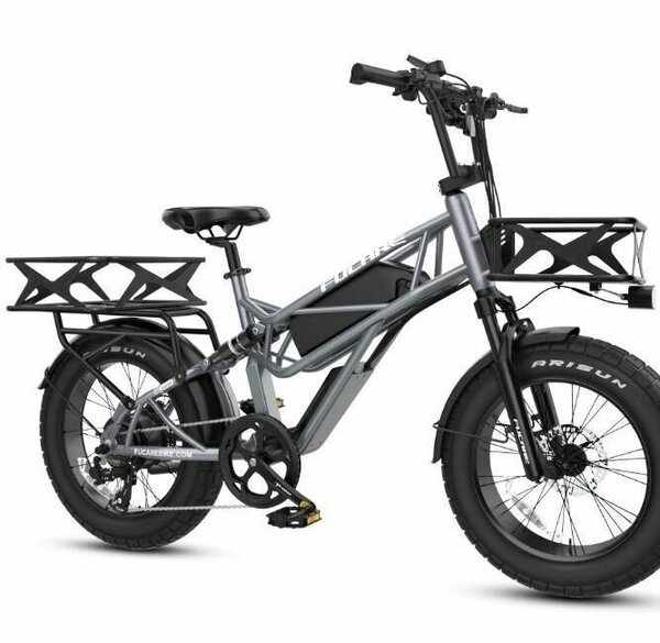 Vélo électrique cargo puissant