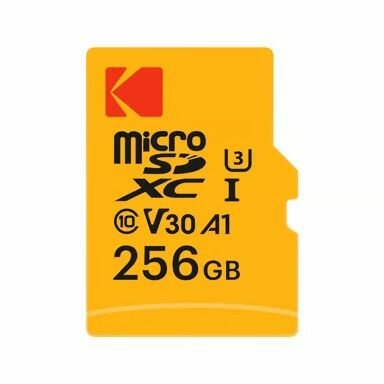 Carte MicroSDXC 256 Go Class 10