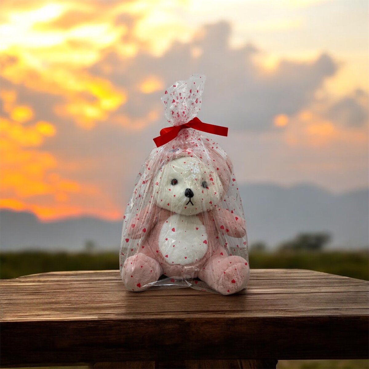 Плюшевые мишки с капюшоном