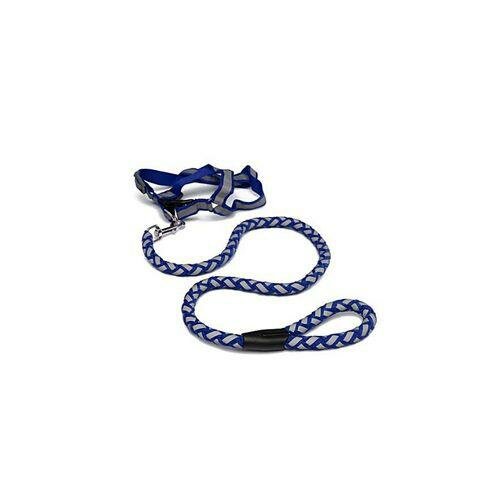 Laisse + Harnais Pour Chien Moyen