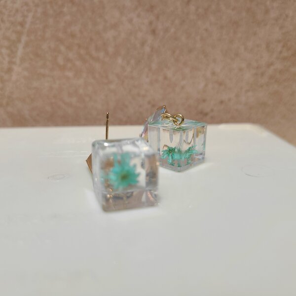 Transparent flower boxed earrings