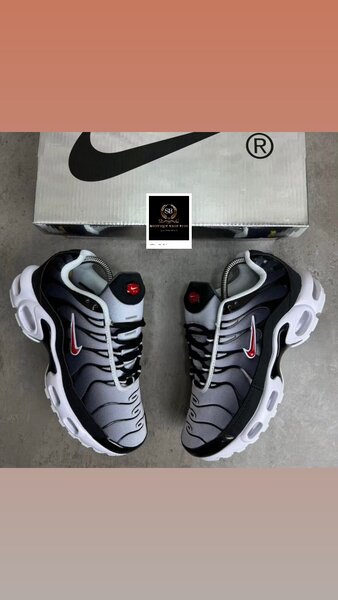 Basket NIKE TN authentique dans carton 40-45
