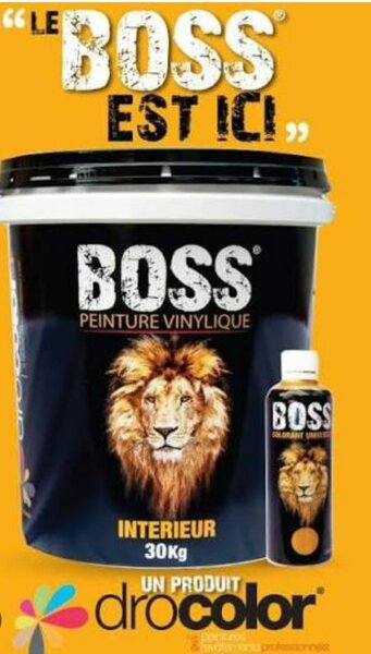 Peinture Vinyle Boss 30kg