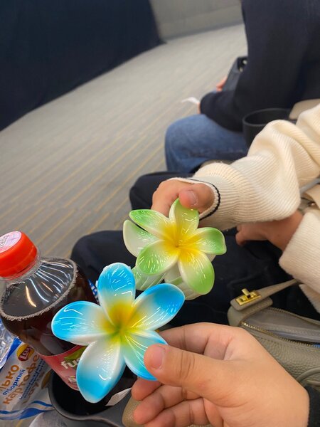 Крабик тайландский