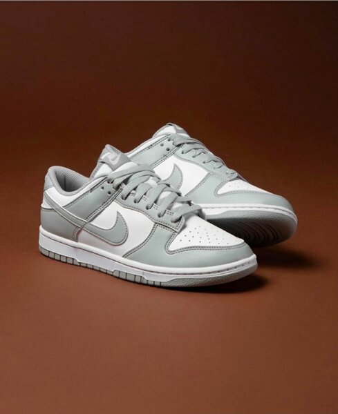 Nike sb