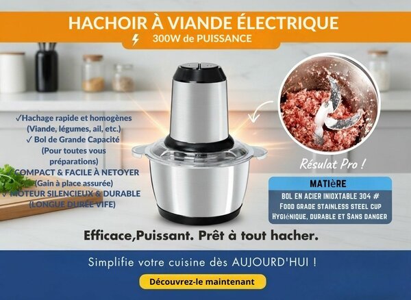 Hachoir Électrique 300W