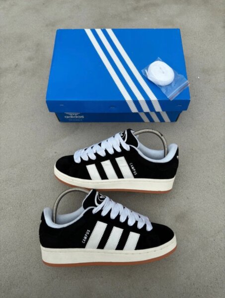 Adidas campus avec carton