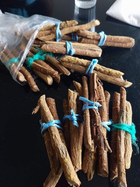 Bâton de cure dent gouro