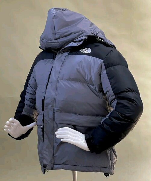 The north face