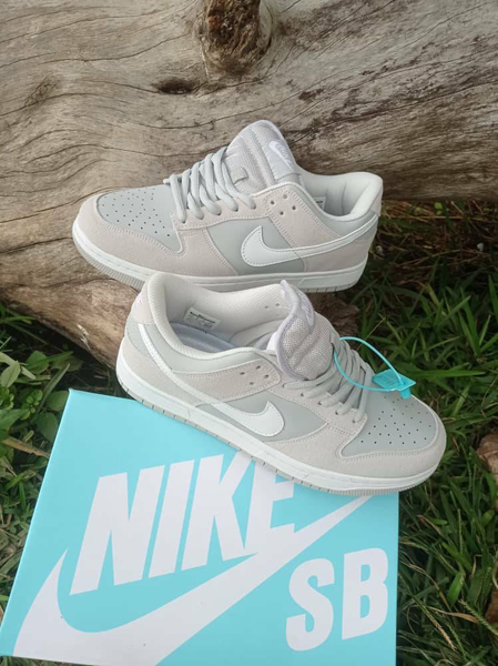 Chaussure NIKE SB DUNK gris