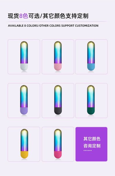 Bullet Vibrator (rechargeable)