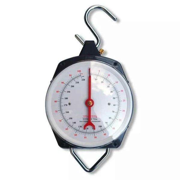 Balance suspendue 100 kg 220 lb