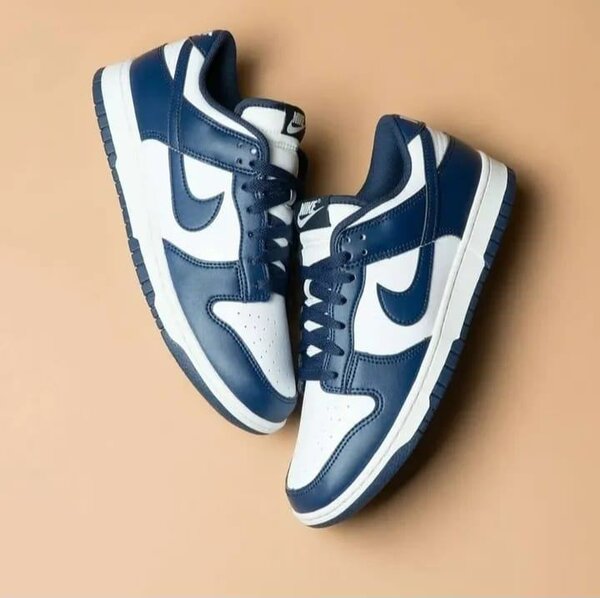 Baskets Bleu Marine et Blanc