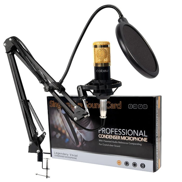 Microphone Condensateur Professionnel