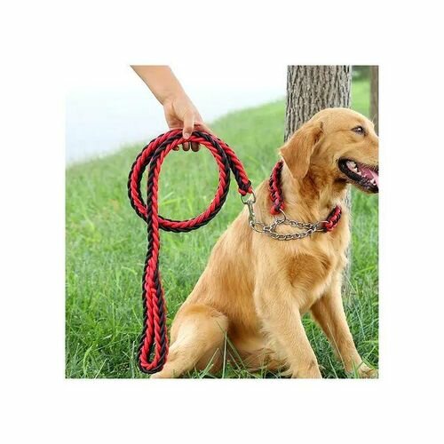 Laisse De Chien natté