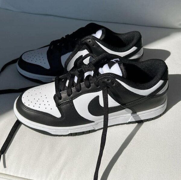 Chaussures Nike SB 