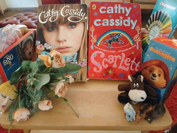 Cathy Cassidy books