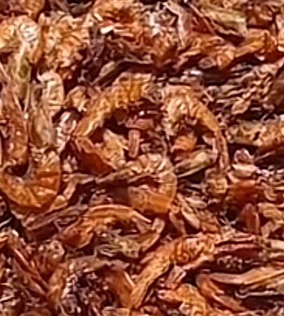 Crevette,apki,cloue de girofle