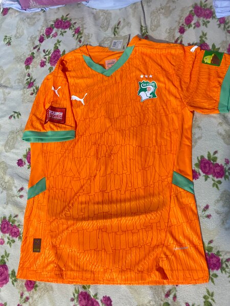 Version pro-max Puma