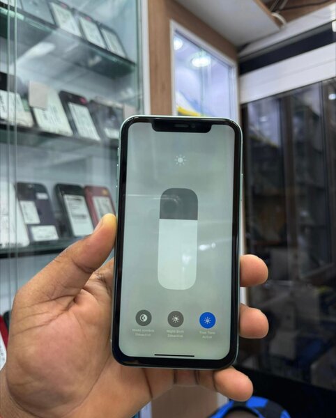 iPhone 11 Vert 64 Go