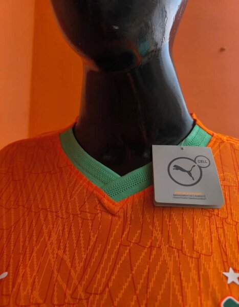 Maillot Côte d'Ivoire Puma