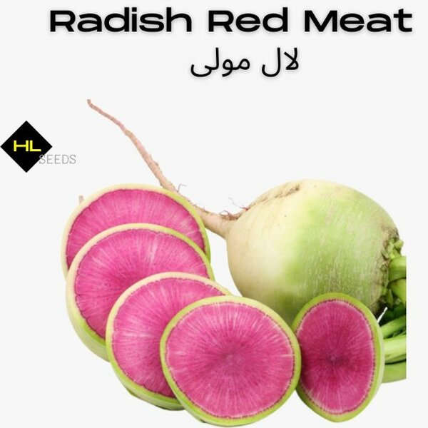 Radish Red Meat Seeds