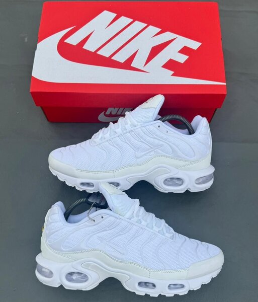 Nike Air Max Plus Blanc