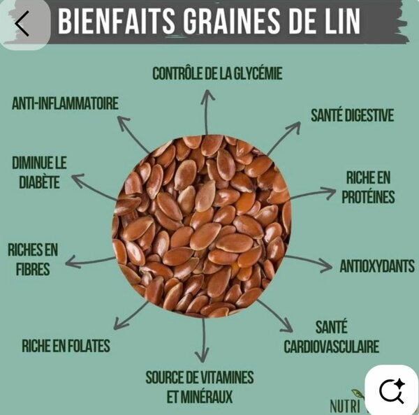 Graines de lin bio