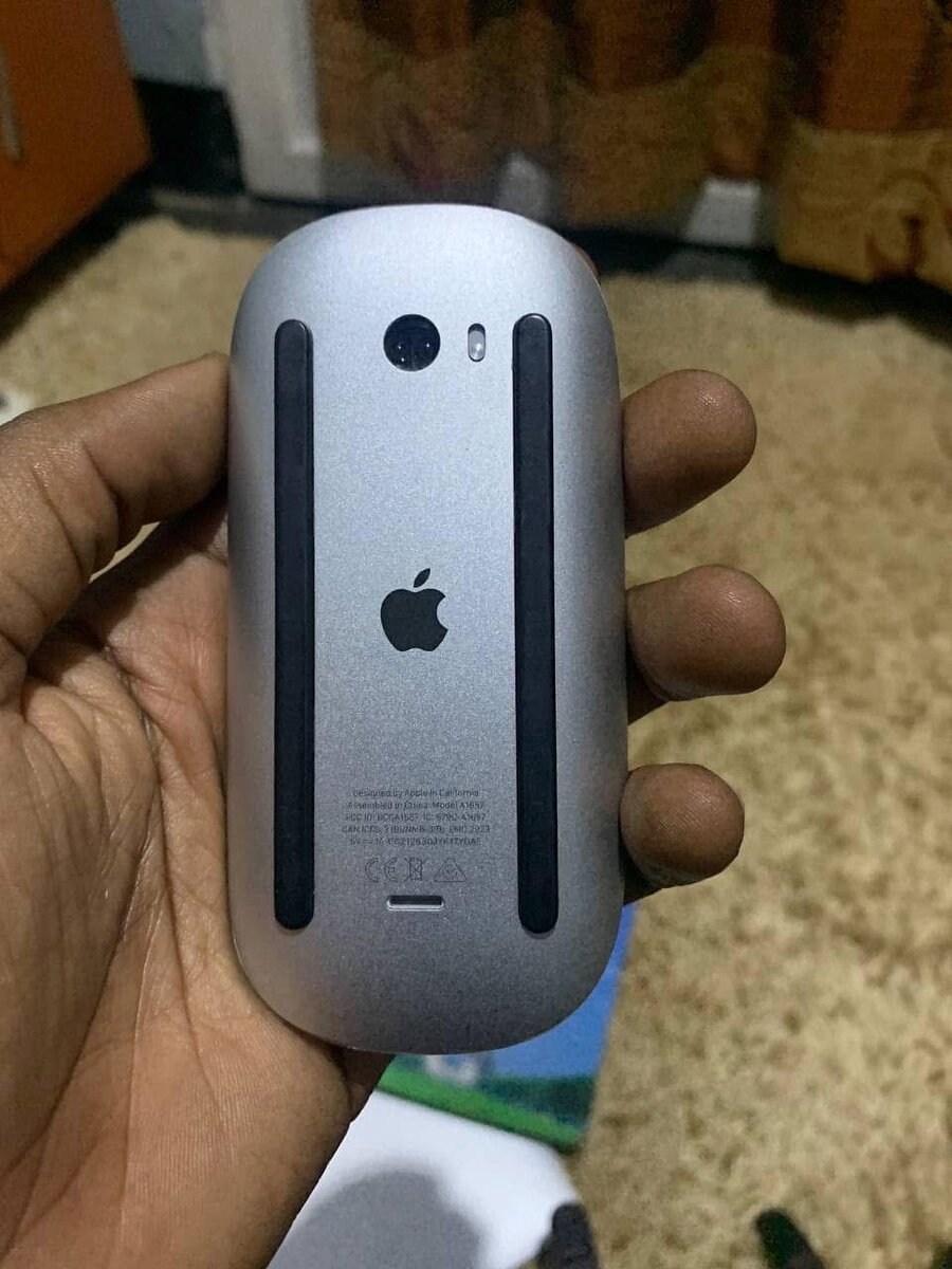 Magic Mouse 2