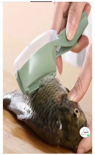 Écailleur de Poisson Efficace