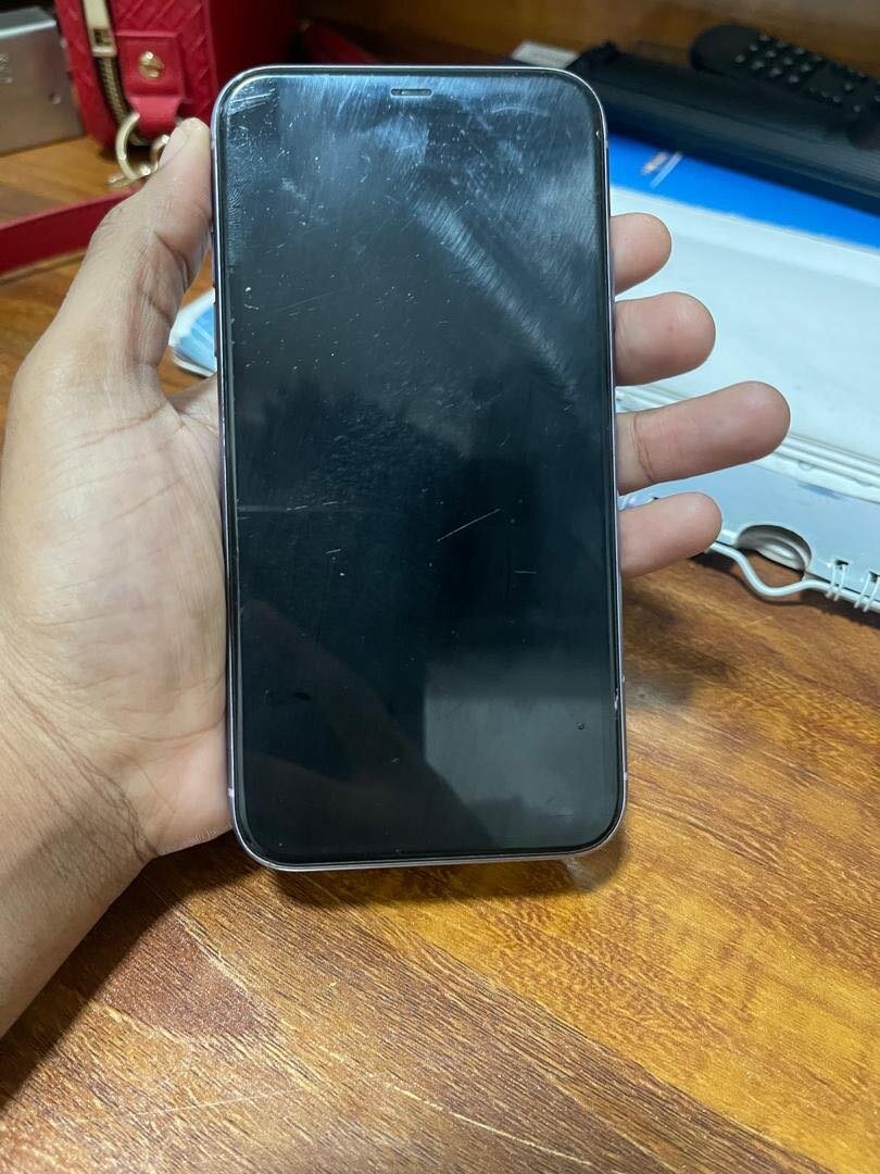 iPhone 11 everything intact