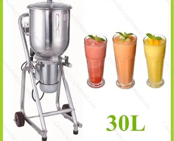 Industrial Type Blender 30L
