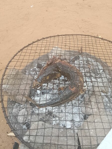 Poisson grillé au charbon