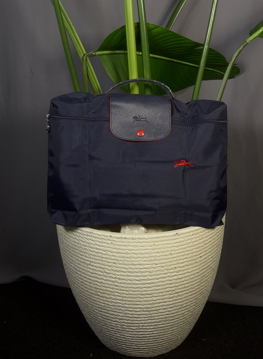 Sac longchamp le pliage homme