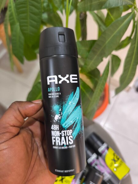 Déodorant AXE Apollo 48H