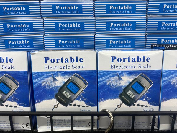 Balance Électronique Portable