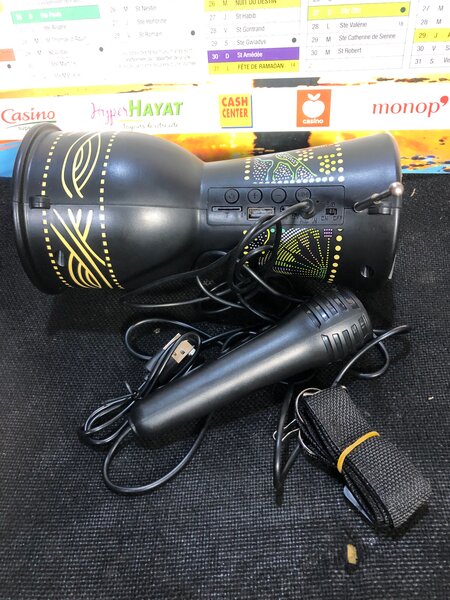 Haut-parleur Bluetooth Solaire Portable