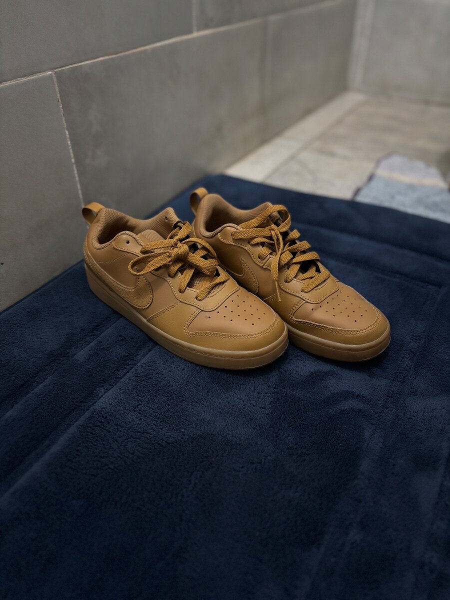 Nike court borough low 2