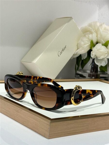Lunettes de soleil Cartier élégantes