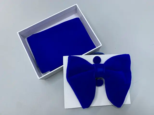 Nœud papillon velours bleu