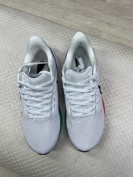 Nike pegasus39