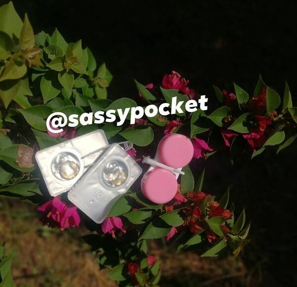 lentilles de contact